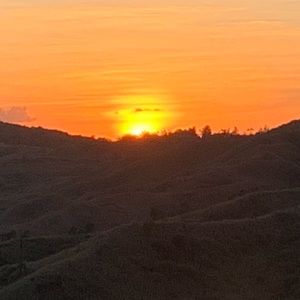 Meet your Posher, Vanessa ann